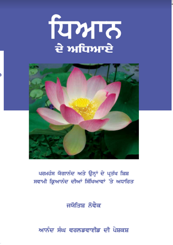 Lessons in Meditation (Punjabi)